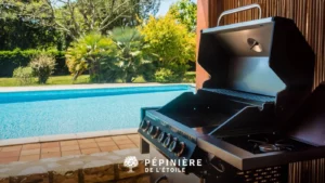 Barbecue au bord de la piscine