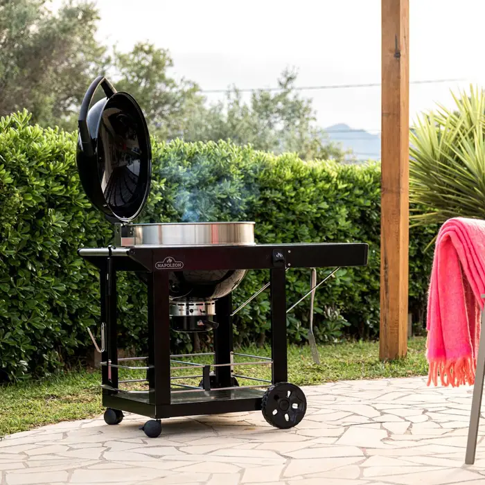 barbecue napoleon pro cart charbon
