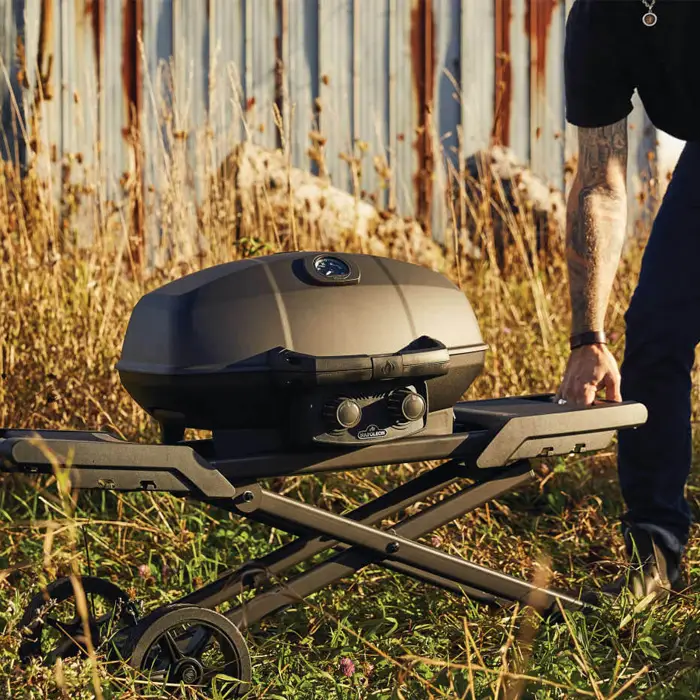 barbecue napoleon phantom travelq pro 285x