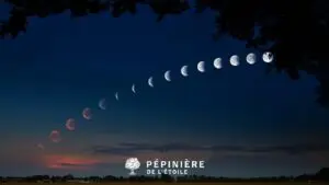 Cycle de la lune