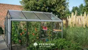 Comparatif des serres de jardin : quel modèle choisir pour votre potager ?