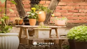 Aménagement de jardin urbain