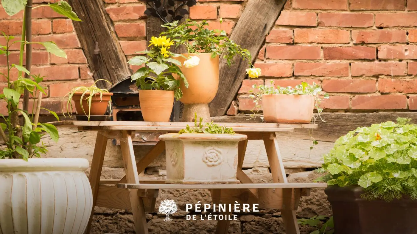 Aménagement de jardin urbain