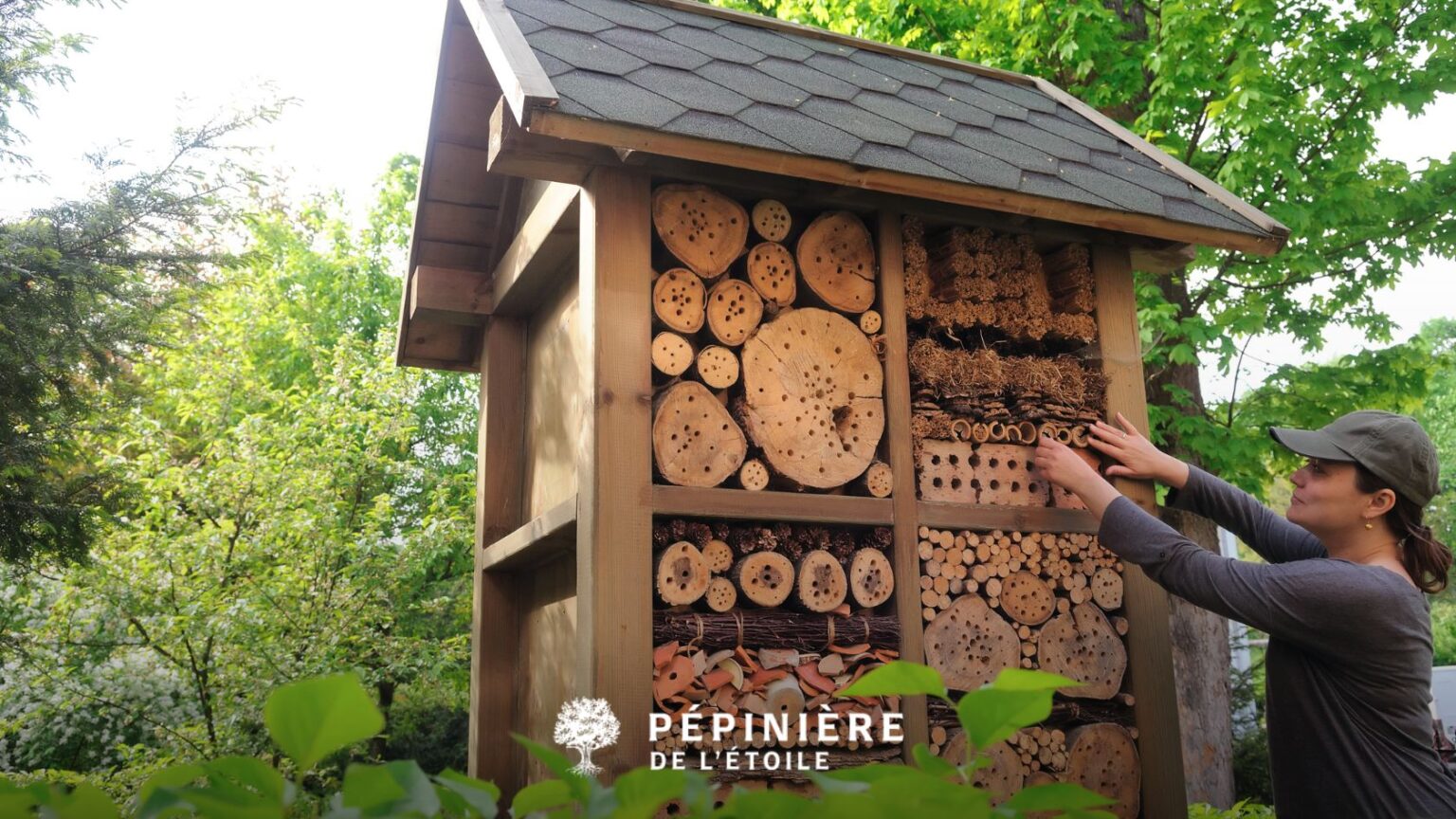 Installer un hôtel à insectes : pourquoi et comment faire