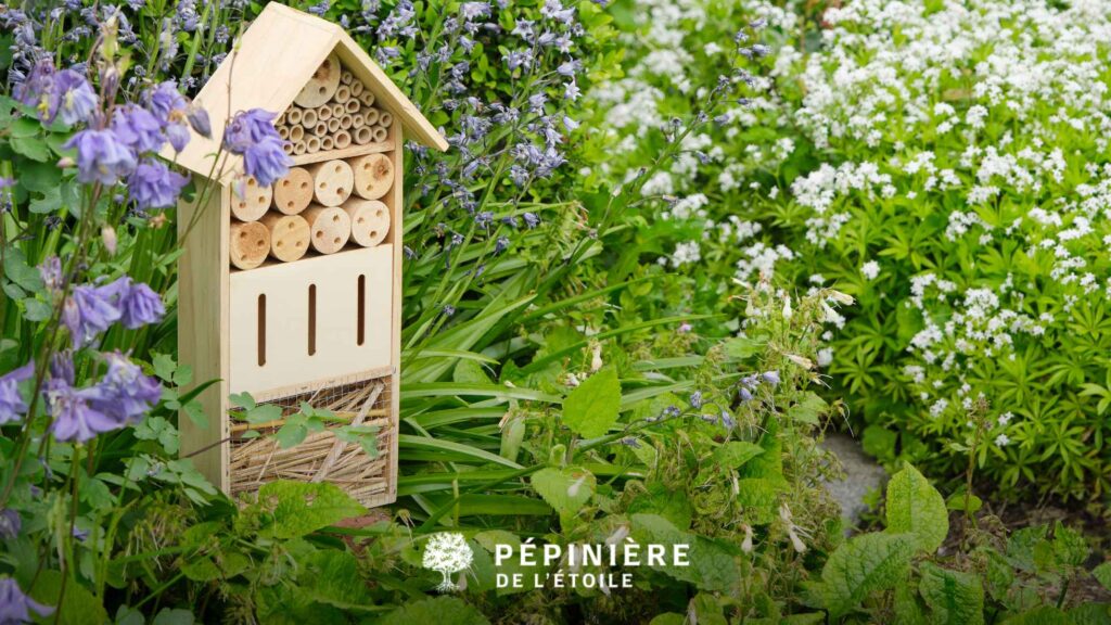 Avoir des insectes dans son jardin