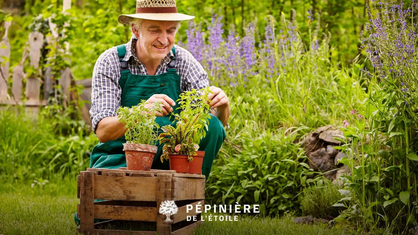 Jardinier profitant de son jardin en été
