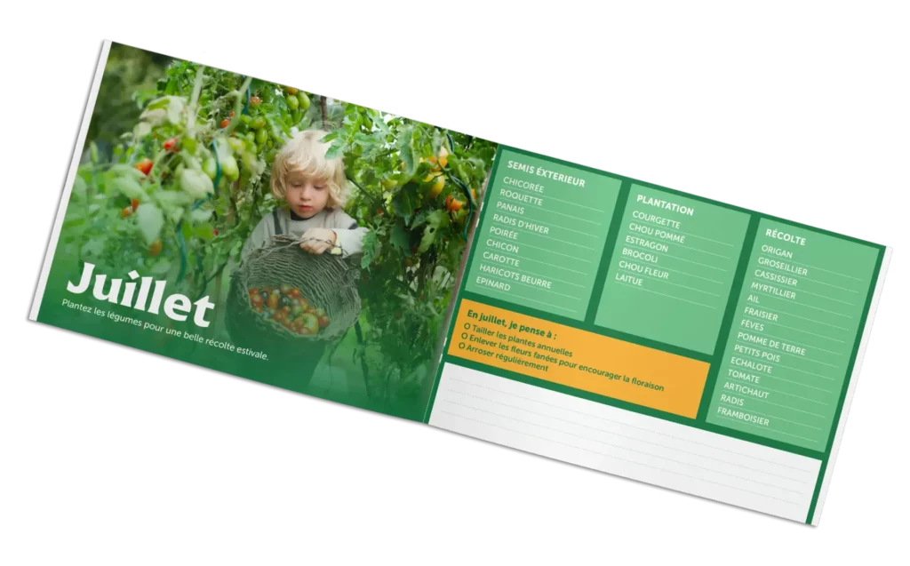 Que faire au jardin ?