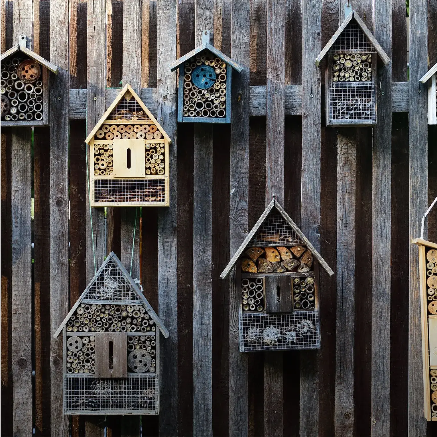 Hôtel à insectes pour abeille