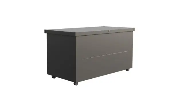 Bac de rangement pour jardin Nevio 160