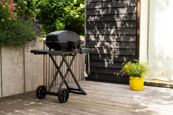 Barbecue Napoleon Phantom TravelQ Pro 285x