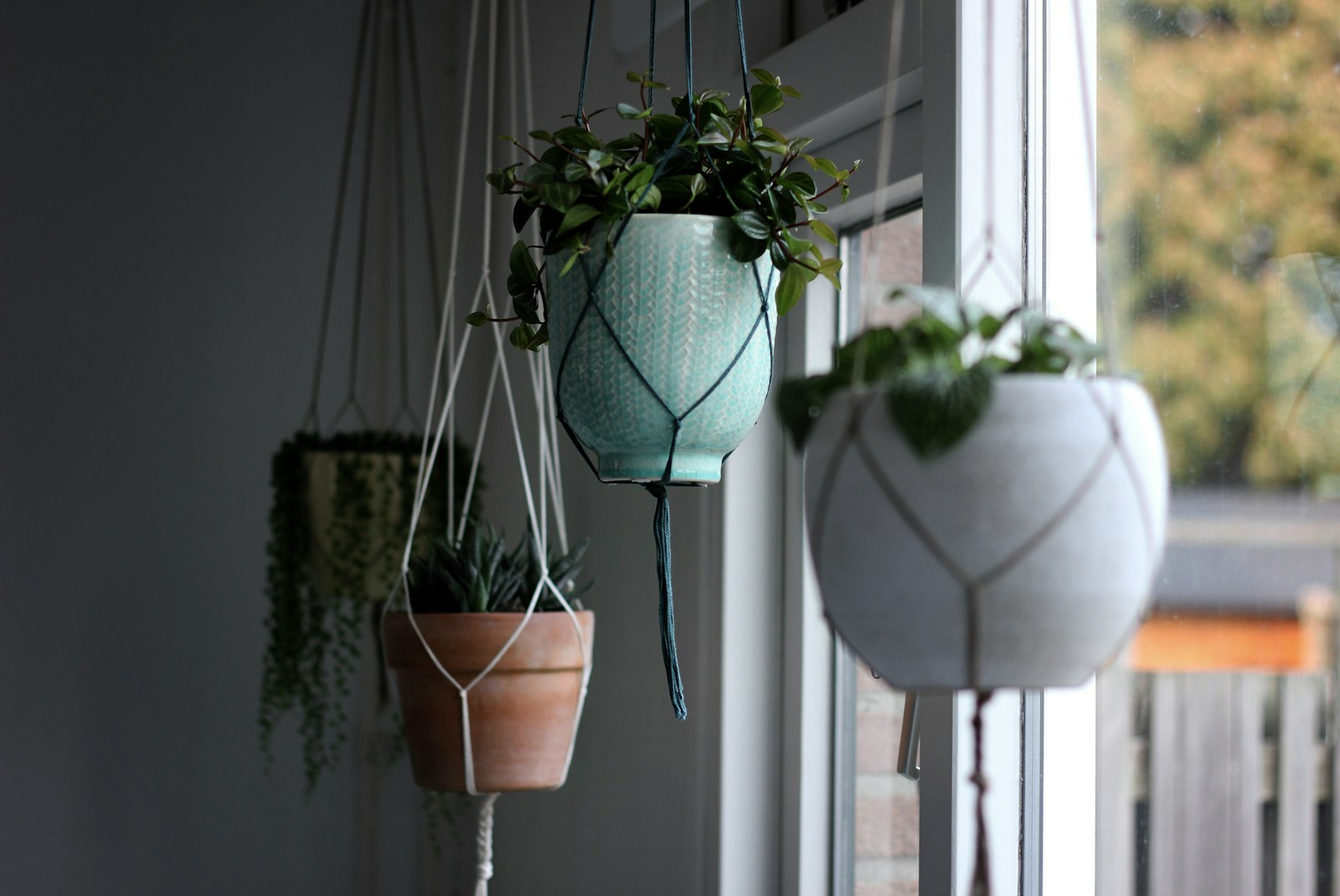 Pots pour plantes suspendues