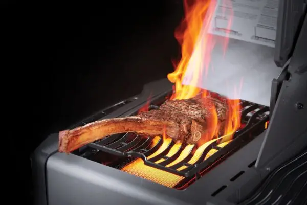 Barbecue Napoleon Prestige 500 Charbon