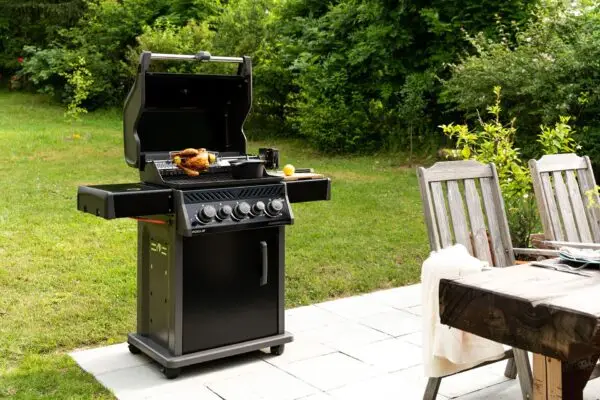 Barbecue Napoleon Rogue 425