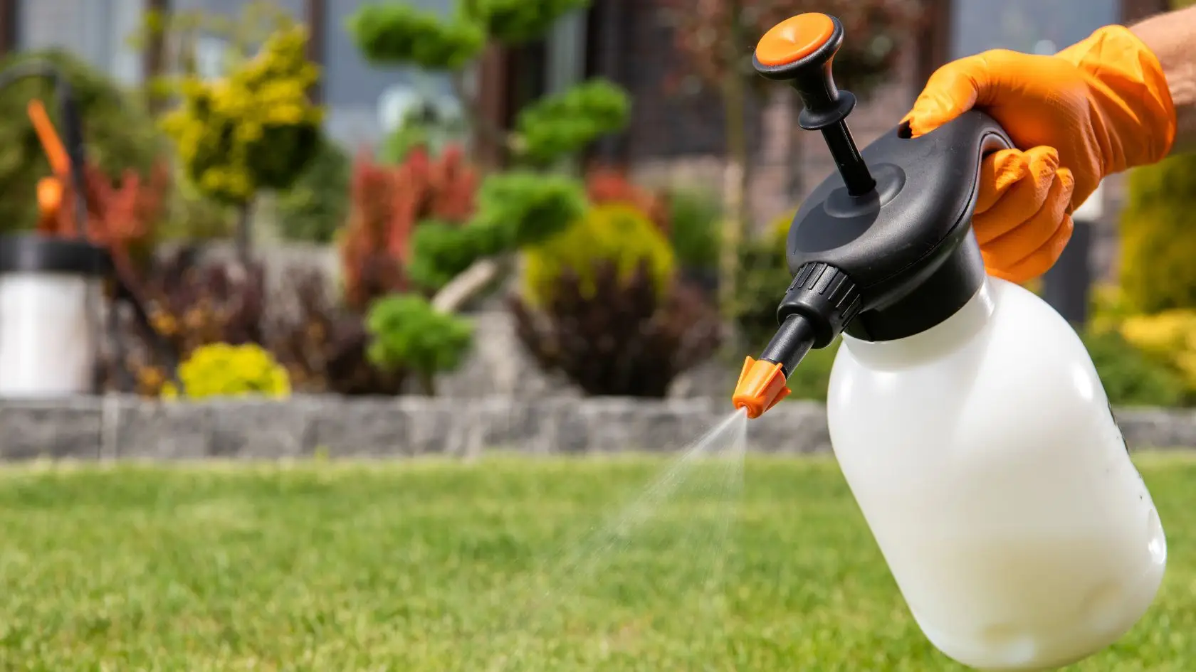 Produits d'entretien pour jardin