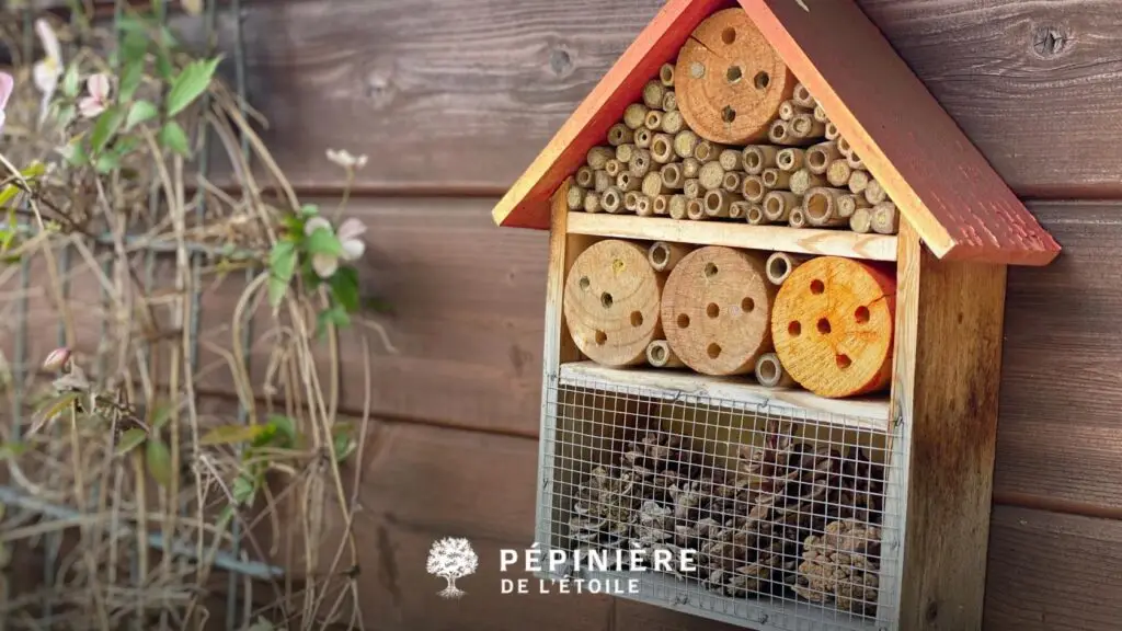 preserver biodiversite jardin
