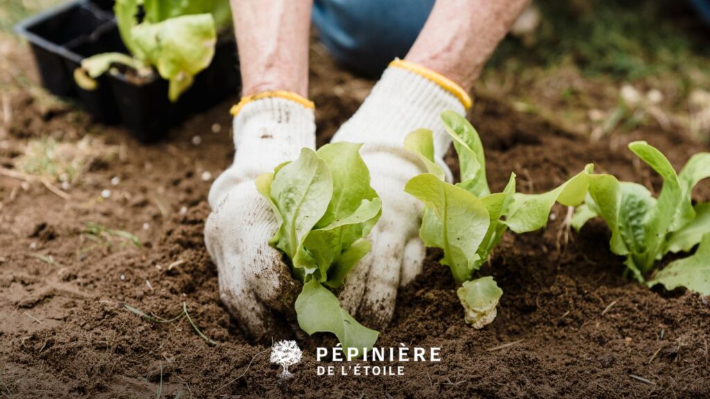 Les indispensables à faire au jardin au printemps 1 Que faire au jardin au printemps ?