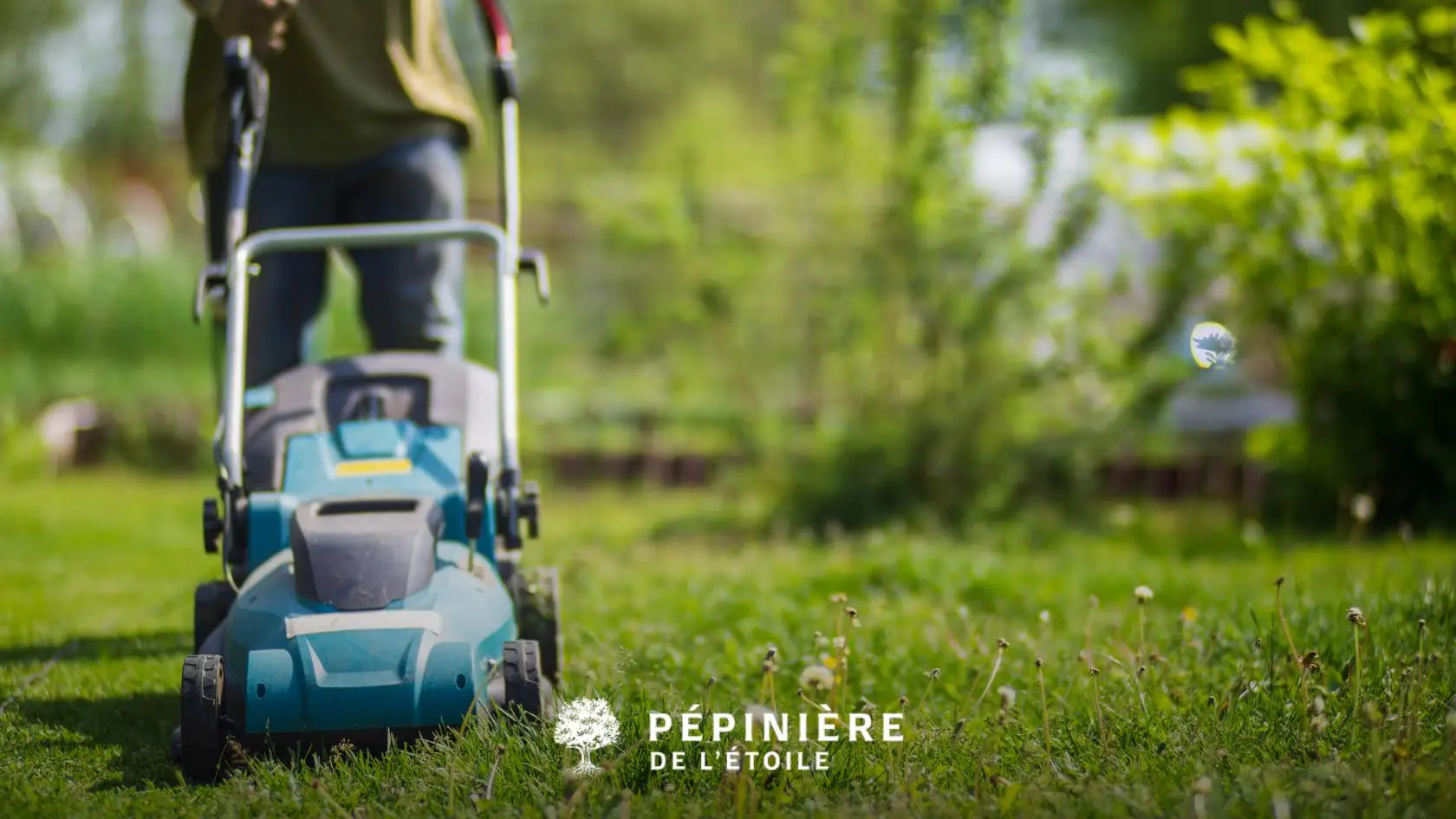 Tondre sa pelouse au printemps
