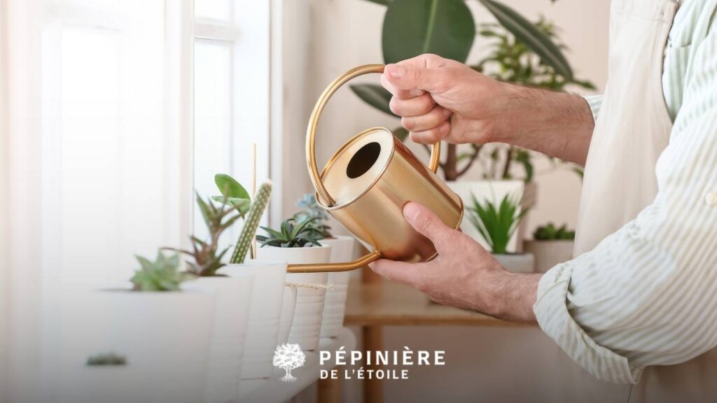 Arrosage des plantes : conseils pour le jardin et l’intérieur 6 Arrosage par le haut des plantes d'arrosage
