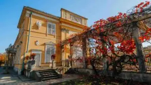 Plantes grimpantes : caractéristiques et entretien en Belgique