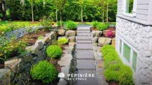 Aménager un jardin en pente : solutions et conseils pratiques