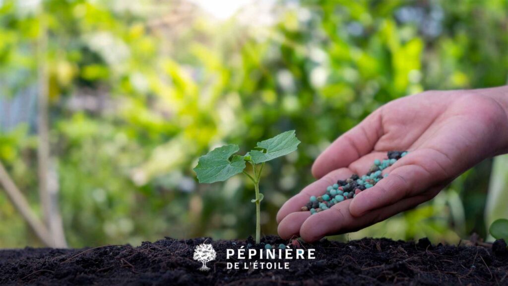 Quand appliquer de l'engrais ?