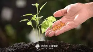 Les différents types d'engrais en Belgique