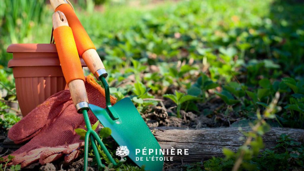 Petit kit de jardinage 