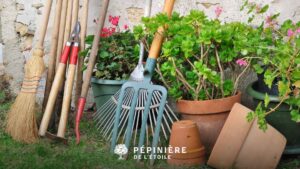 Outils de jardin indispensables pour les débutants