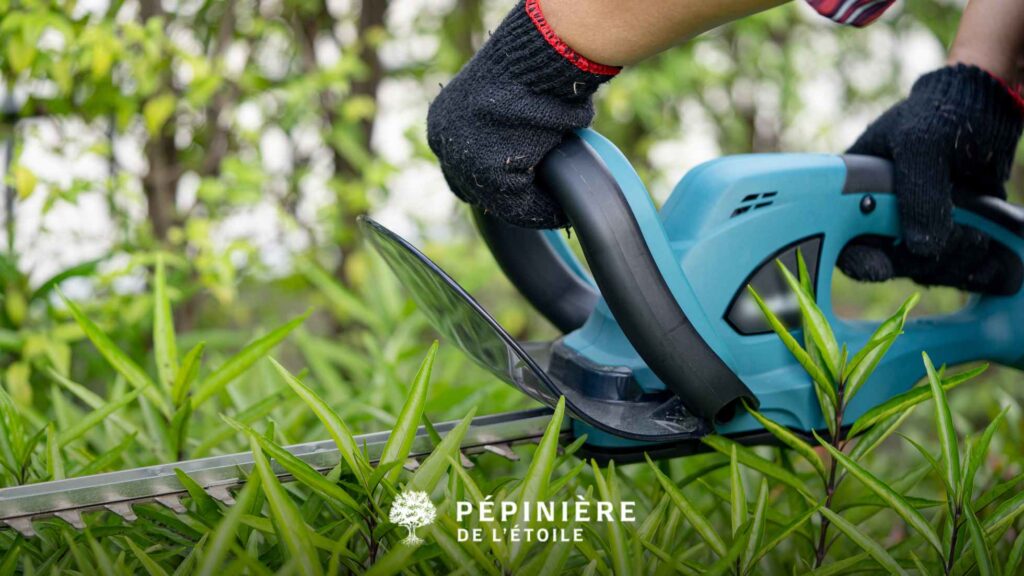 Acheter un taille haies