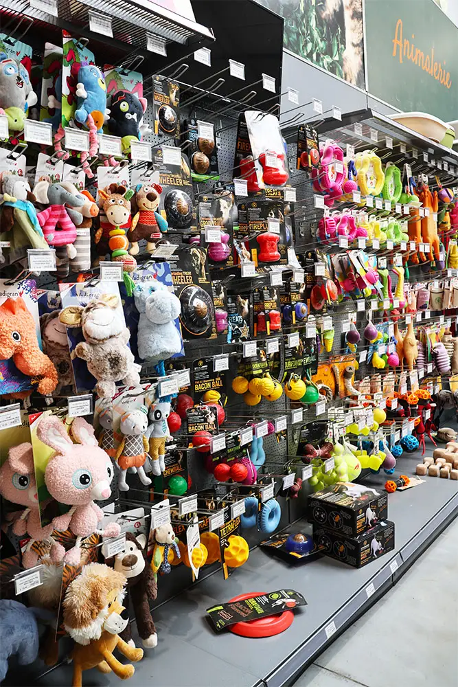 magasin de jouets pour chien à soignies