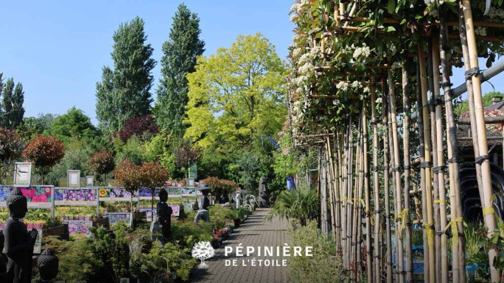 que faire à soignies le dimanche