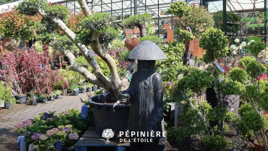 Où trouver un grand choix de plantes et d'arbres en Wallonie ? 1 arbres et statues pour le jardin à soignies