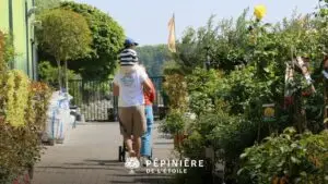 sortie en famille à soignies
