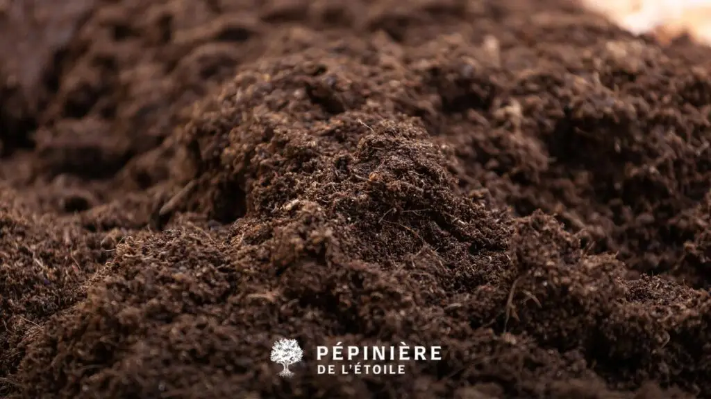 Terreau pour jardin