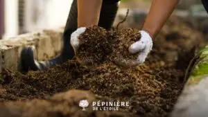 Améliorer le sol de son jardin avec du terreau